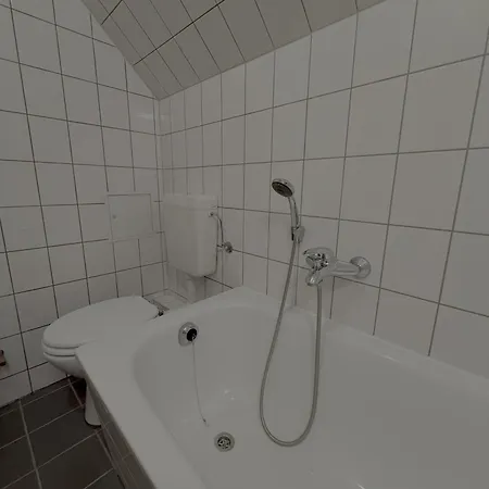 Zeppelin 1 Διαμέρισμα Joachimsthal